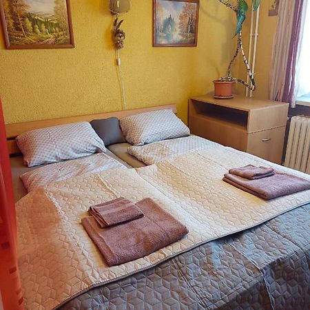 Prijemne Bydleni Na Vylety Po Okoli Apartment Klatovy Luaran gambar